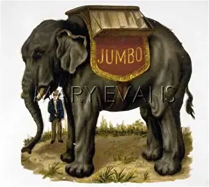 JUMBO / SCRAP