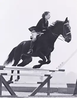 Mid Air: Show jumping