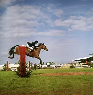 Showjumper: Show jumping event, Devon County Show