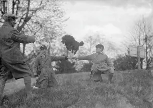 Inbetween: JUMPING SHEEPDOG