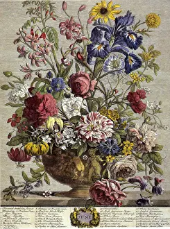 Furber: June