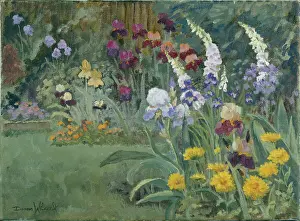 Foxgloves: June Border ' Garden with flower border