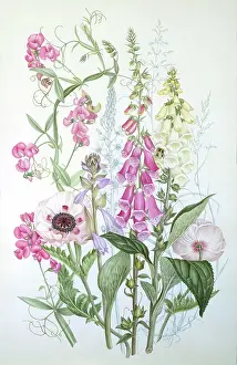 Grierson: June Garden Collection
