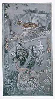 Shere: JUNGLE BOOK.MOWGLI.BALOO