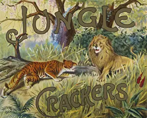 Tigers: Jungle Crackers box label design