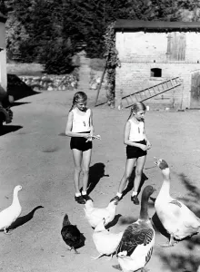 Youths: Jungmaedel in the country, 1938