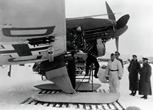 Clearly: Junkers Ju 87 of the German Luftwaffe - the Eastern Front