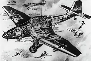 Jumo: Junkers Ju-87D Stuka