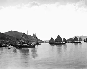 Junks: Junks on the water, Hong Kong, China