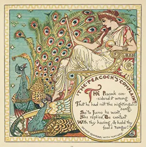 Pavo: Juno and the Peacock