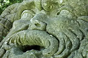 Jove: Jupiter head, Garden of Bomarzo, Bomarzo, Lazio, Italy