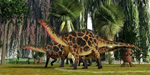 Diplodocid: Jurassic vegetation towers over two Dicraeosaurus
