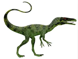 Starki: Juravenator dinosaur