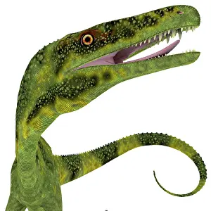 Viscious: Juravenator dinosaur head