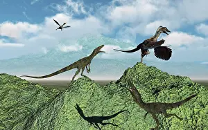 Contour: Juravenators chasing Archaeopteryx