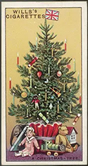 Archetypal: Just a Tree