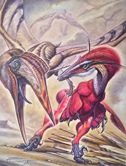 Defending: Juvenile Austroraptor cabazai defends itself from