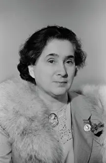 Nikolaevna: K. N. Yelenskaya