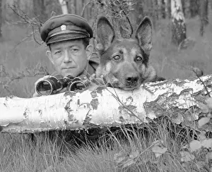 Nosek: K9 unit - police - border patrol