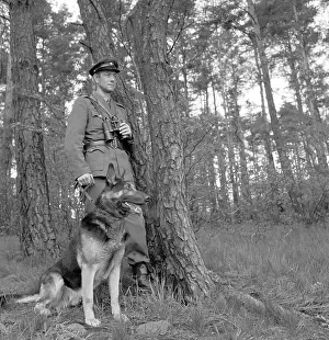 Nosek: K9 unit - police - border patrol