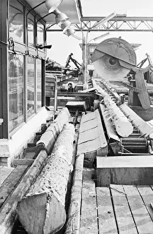 Nabatov: Kadadinsky Logging and Lumber Mills