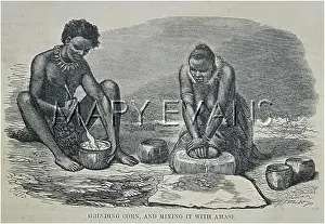 Kaffirs: KAFFIRS GRINDING CORN