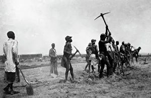 Kaffirs: Kaffirs at work