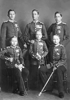 Urged: Kaiser Wilhelm II's sons