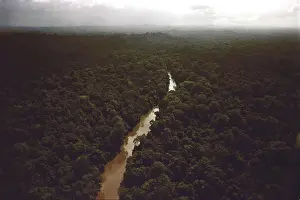 Utopian: Kaituma River flowing through the rain forest ?