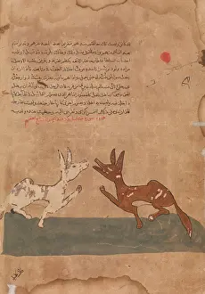 Kalila: Kalila and Dimna Discussing Dimna's Plans to Become