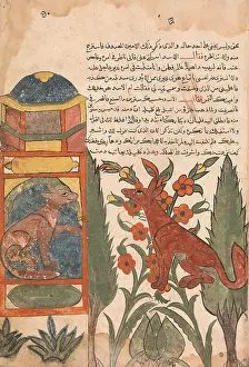 Kalila: Kalila Visits the Imprisoned Dimna, Folio from