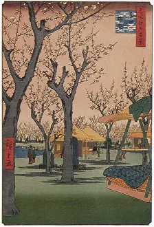 Plum: Kamata Plum Orchards, by Hiroshige