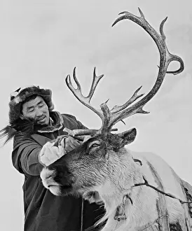 Breeder: Kamchatka region, 1971