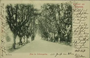 Allee: Kammer at the Lake Attersee. Allee in the castle