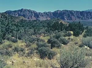 Anne Burton: Kanab - Utah