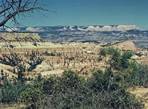 Anne Burton: Kanab - Utah