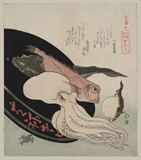 Kanagawa: Kanagawa