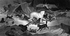 Elisha: KANE/ARCTIC EXPEDITION