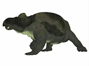 Synapsid: Kannemeyeria dinosaur, side profile