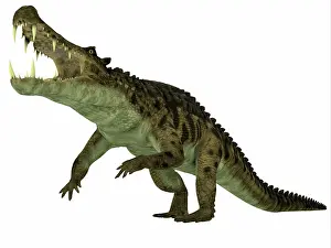 Alligator: Kaprosuchus marine reptile