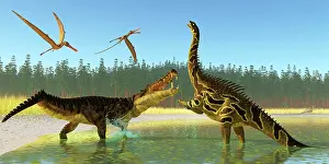 Alligator: A Kaprosuchus reptile confronts an Agustinia dinosaur