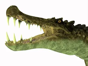 Crocodile: Kaprosuchus reptile head