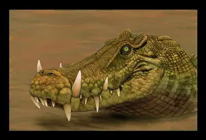 Alligator: Kaprosuchus saharicus head detail