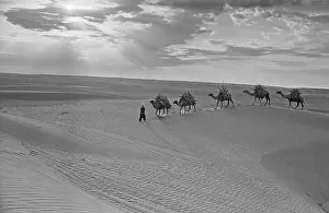 Karakum: In Karakum Desert, 1955