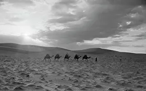 Caravan: Karakum Desert