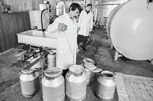 Filling: Karamsky dairy