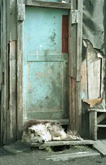 Doorstep: Karaul settlement, 1997