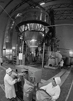 Smolensk: Kardymovo Milk Plant