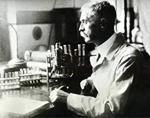 Laureates: Karl Landsteiner