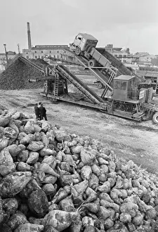 Unloading: Karla Libknekhta sugar plant